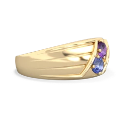 Amethyst Men's Streamline 14K Yellow Gold ring R0460