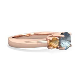 Aquamarine Three Stone Round Trellis 14K Rose Gold ring R4018