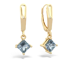 matching earrings - 6mm Princess Lever Back