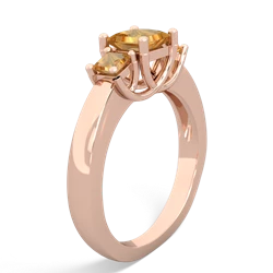 Garnet Three Stone Trellis 14K Rose Gold ring R4015