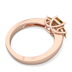 Garnet Three Stone Trellis 14K Rose Gold ring R4015