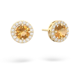 Citrine Halo 14K Yellow Gold earrings E5320