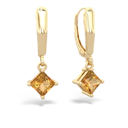 matching earrings - 6mm Princess Lever Back