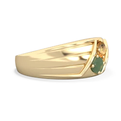 Citrine Men's Streamline 14K Yellow Gold ring R0460