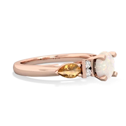 Opal 6Mm Round Eternal Embrace Engagement 14K Rose Gold ring R2005