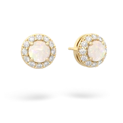 Opal Diamond Halo 14K Yellow Gold earrings E5370