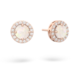 Opal Halo 14K Rose Gold earrings E5320