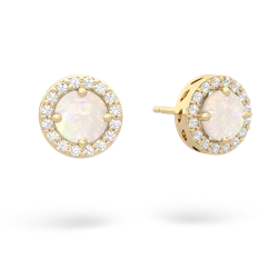 Opal Halo 14K Yellow Gold earrings E5320