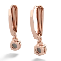 Opal 5Mm Round Lever Back 14K Rose Gold earrings E2785