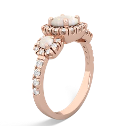 Ruby Regal Halo 14K Rose Gold ring R5350