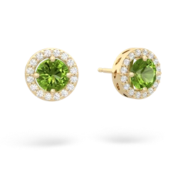 Peridot Halo 14K Yellow Gold earrings E5320