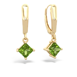 matching earrings - 6mm Princess Lever Back