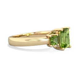 Tanzanite Three Stone Emerald-Cut Trellis 14K Yellow Gold ring R4021