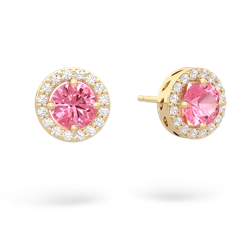 Lab Pink Sapphire Halo 14K Yellow Gold earrings E5320