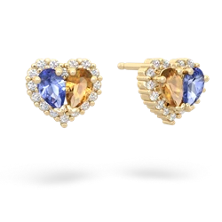 Tanzanite Halo 14K Yellow Gold earrings E7008