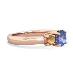 Tanzanite Three Stone Round Trellis 14K Rose Gold ring R4018