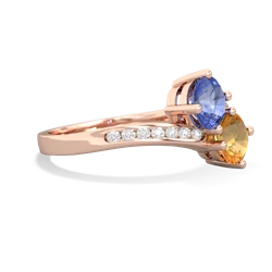 Tanzanite Channel Set Two Stone 14K Rose Gold ring R5303