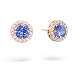 Tanzanite Halo 14K Rose Gold earrings E5320