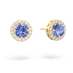 Tanzanite Halo 14K Yellow Gold earrings E5320