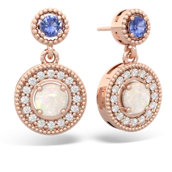 Tanzanite Halo Dangle 14K Rose Gold earrings E5319