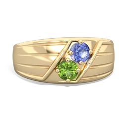 Tanzanite Men's Streamline 14K Yellow Gold ring R0460