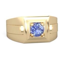 Tanzanite Men's Squared Circle 14K Yellow Gold ring R0480