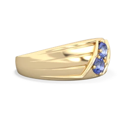 Tanzanite Men's Streamline 14K Yellow Gold ring R0460