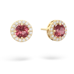 Pink Tourmaline Halo 14K Yellow Gold earrings E5320