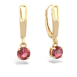 Pink Tourmaline 5Mm Round Lever Back 14K Yellow Gold earrings E2785
