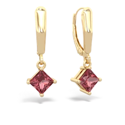matching earrings - 6mm Princess Lever Back