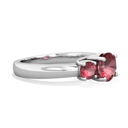 Ruby Three Stone Round Trellis 14K White Gold ring R4018